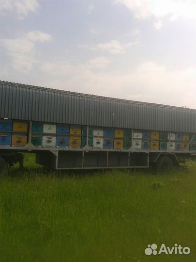 Прицеп пчеловоз, 1995