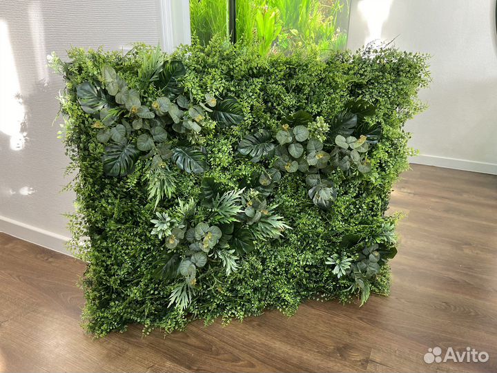 Озеленение вашего помещения под ключ