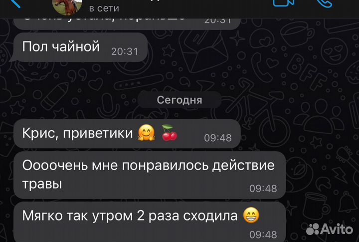 Чай кишечная метла