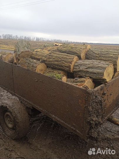 Продам дрова