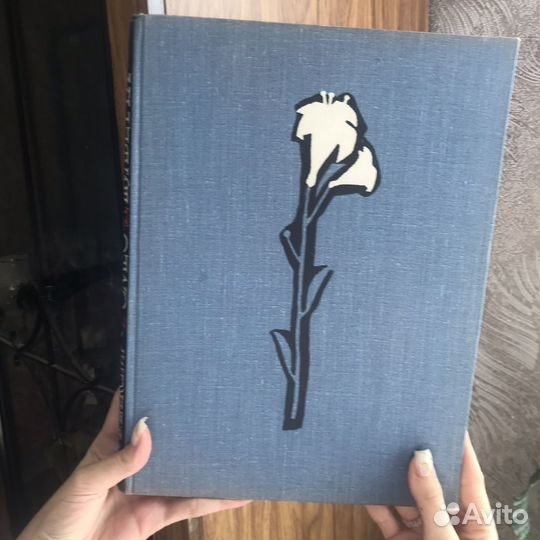 Ромео и Джульетта, 1962 г., В. Шекспир