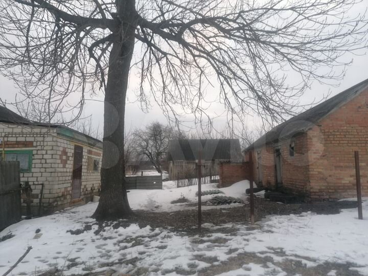 Дом 46 м² на участке 50 сот.