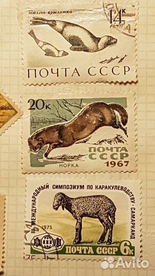 Марки СССР редкие