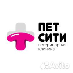 Ассистент ветеринарного врача