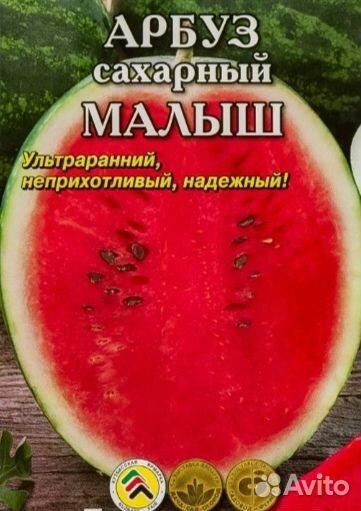 Рассада арбуз сибирский сахарный малыш