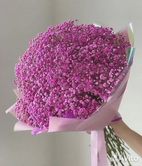 Гипсафила белая и радужная