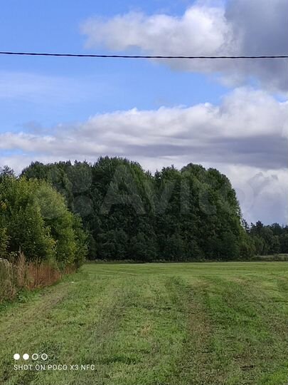 Участок 38 га (СНТ, ДНП)