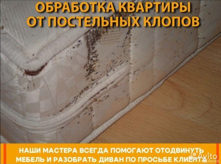 Уничтожение клопов тараканов мышей блох запаха