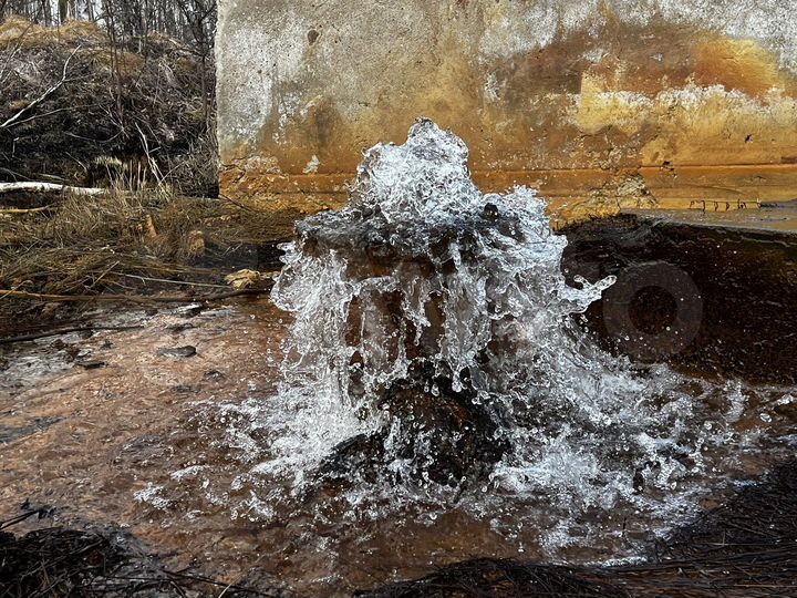 Участок 30 га (СНТ, ДНП)