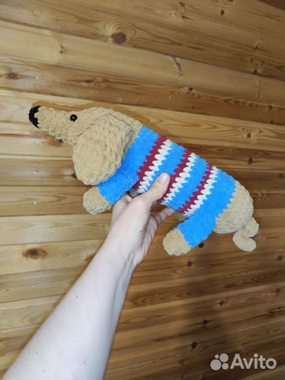 Собака в шляпе