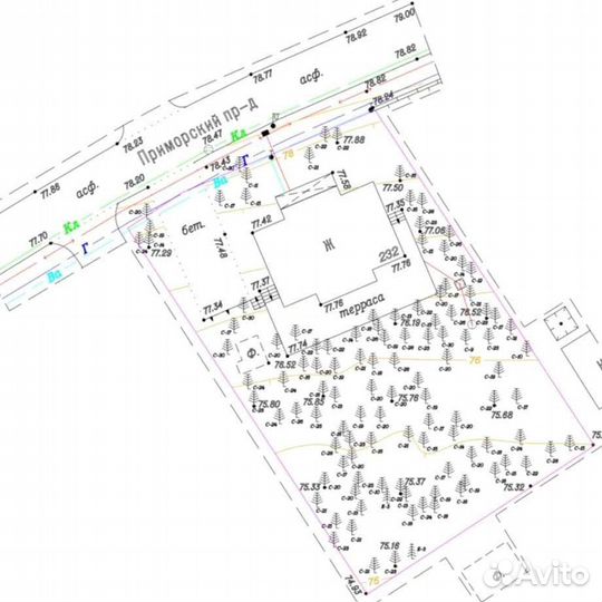 Услуги геодезиста