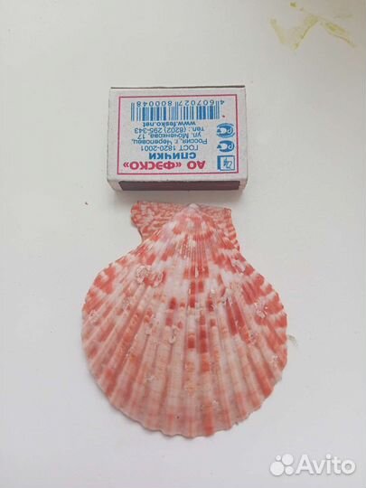 Ракушки, морские галыши и 5кг грунта