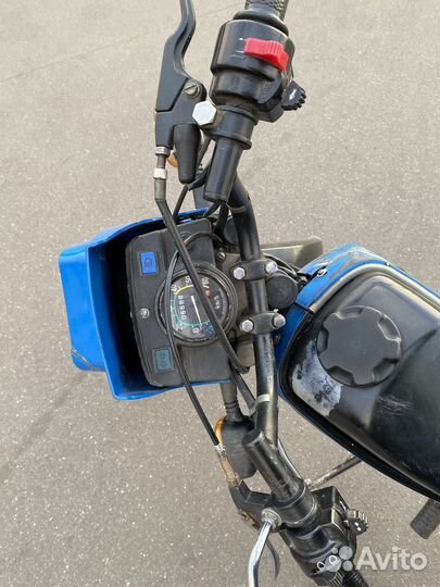 Зид пилот 50