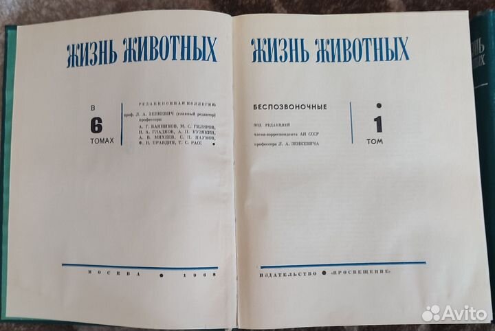 Энциклопедия жизнь животных