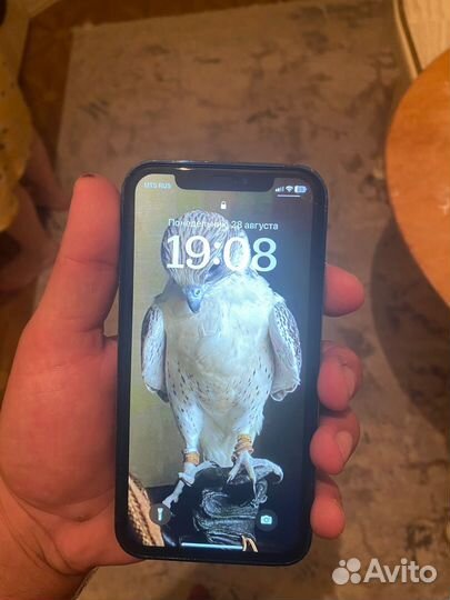 iPhone Xr в корпусе 13 pro