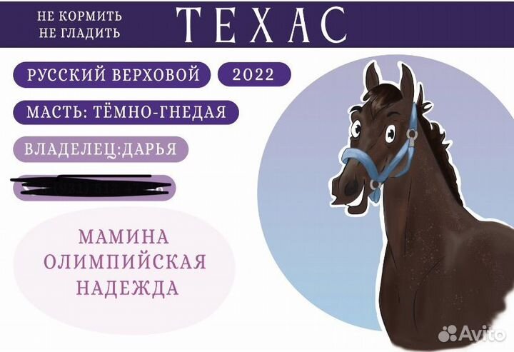 Табличка для денника для лошади