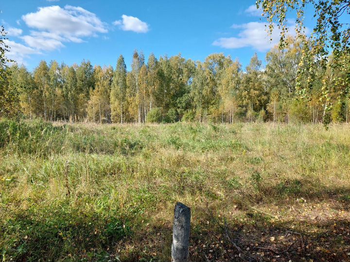 Участок 22 сот. (ИЖС)