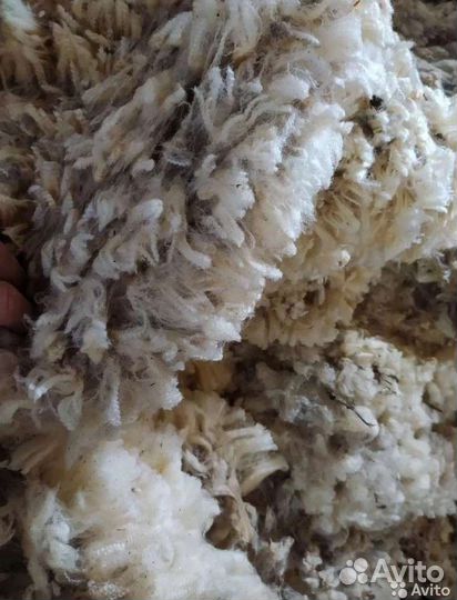 Шерсть меринос