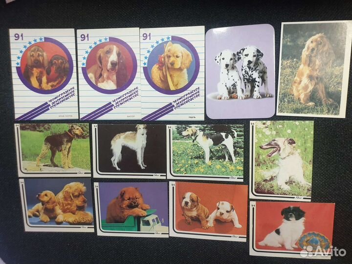 Коллекция календариков Собаки