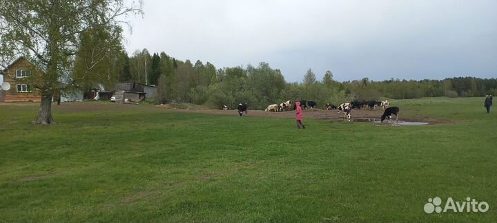 Продам фермерское хозяйство