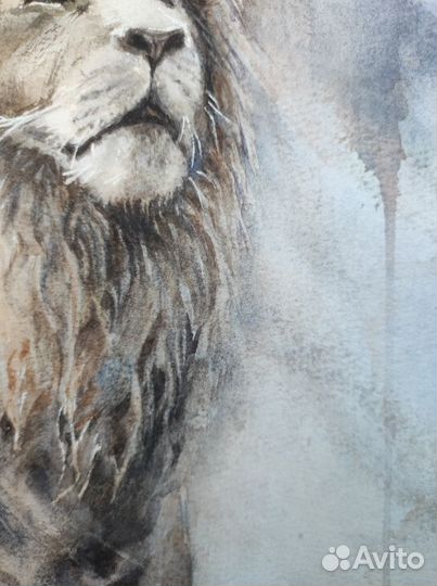 Картина лев в лучах солнца