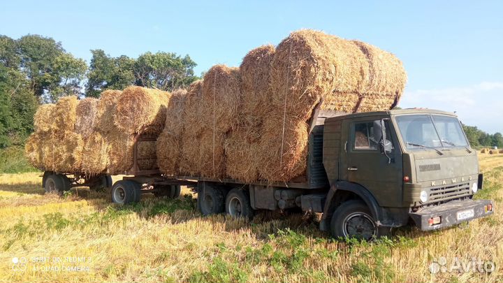 Солома ячменная и пшеничная