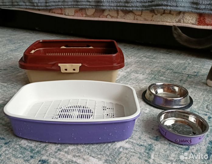 Лоток для кошек