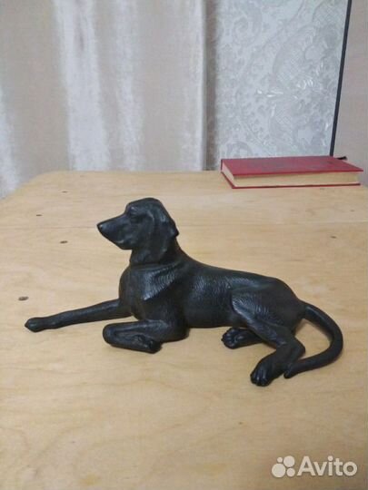 Пойнтер лежачий.Касли 2018 г. В идеале