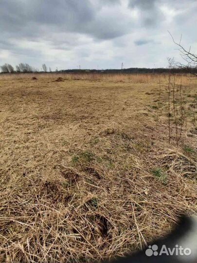 Покос травы Вспашка земли Расчистка участка спил