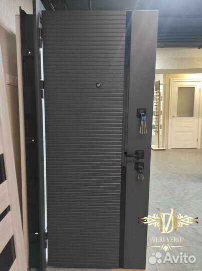 Дверь входная горизонт 110мм