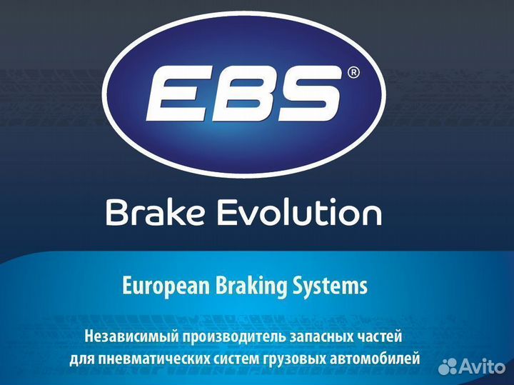 Энергоаккумулятор тип 27/24 Вольво фш фм кулачковы