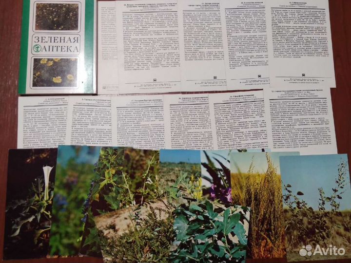 Открытки: Зеленая аптека и Комнатные цветы