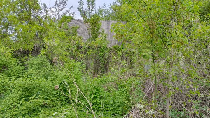 Участок 50 сот. (ИЖС)