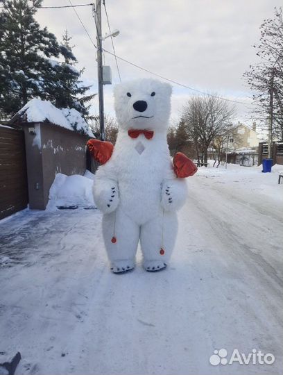 Поздравление большой белый медведь