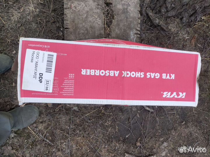 Передняя стоика