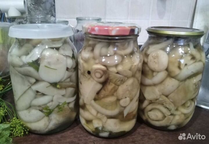 Грибы маринованные грузди
