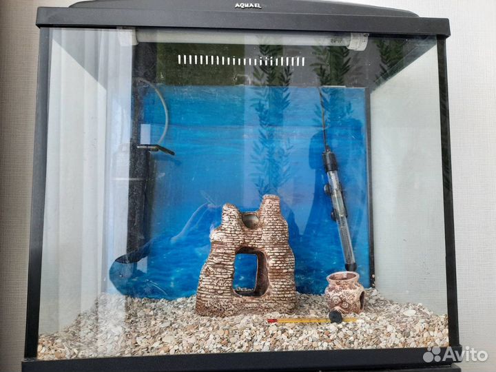 Аквариум