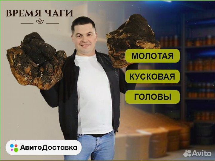 Чага сушеная / молотая и кусковая