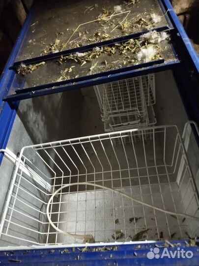 Морозильная камера бу