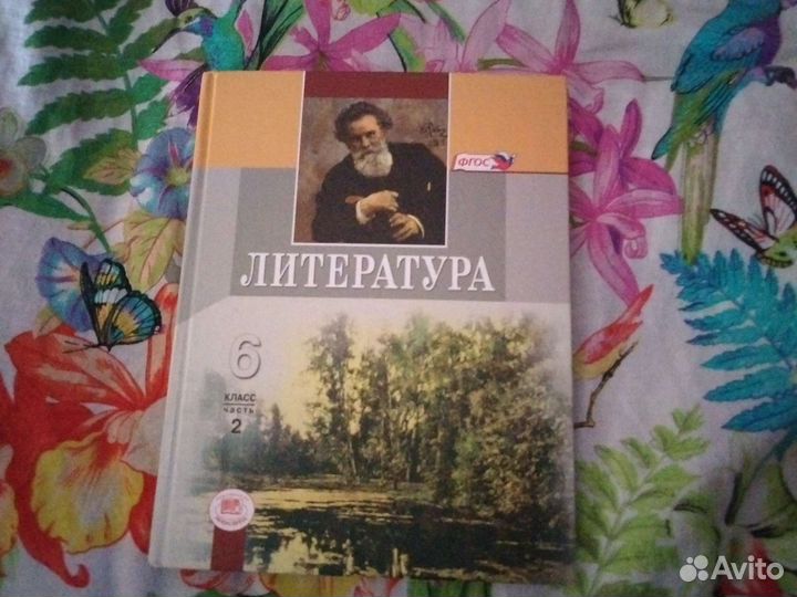 Учебники по литературе шестой класс