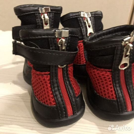 Обувь для собаки