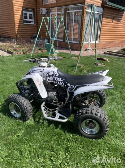 Yamaha raptor 350