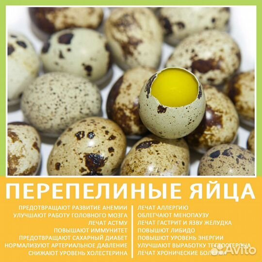 Доставка бесплатная.Яйца перепелиные домашнее