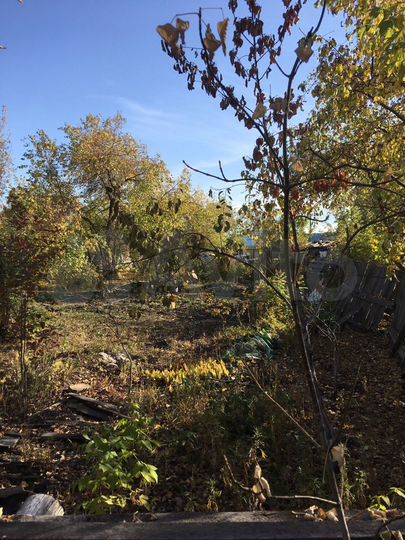 Дача 20 м² на участке 7 сот.