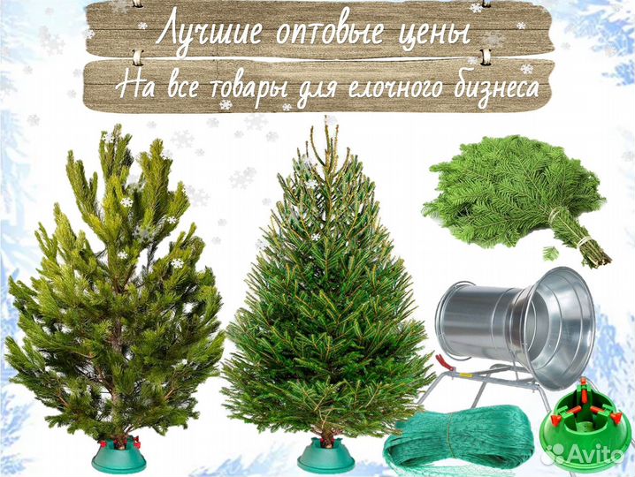 Живые Сосны и Елки на Новый Год опт