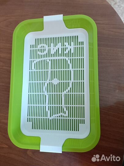 Лоток кис для кошек