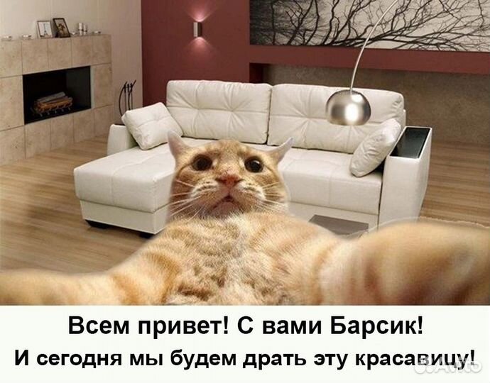 Домик для кошки, Когтеточка, Игровой комплекс