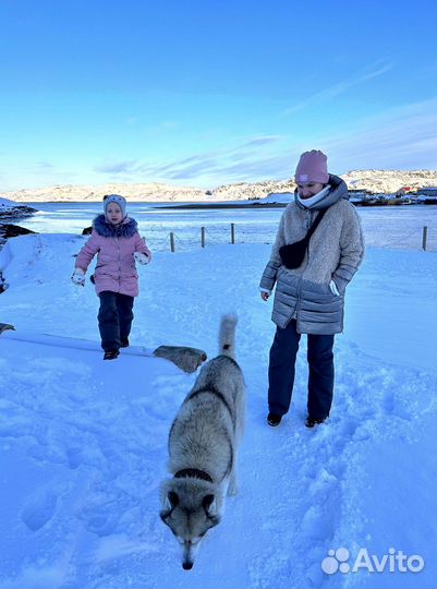 Экскурсия в Терибирку
