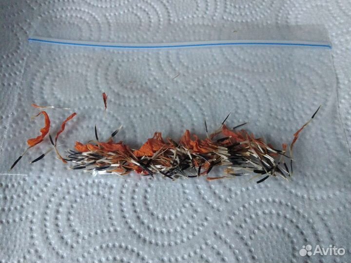 Бархатцы семена