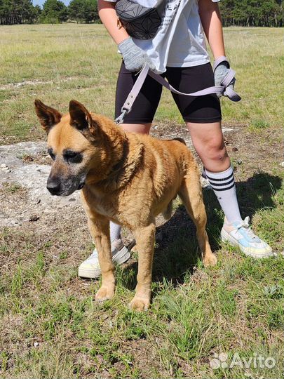 Красавчик Хантер